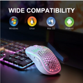 2.4G Wireless Mouse with RGB Backlit 6-button 3-speed DPI Type C Rechargeable Ergonomic Honeycomb Design Gaming Mouse